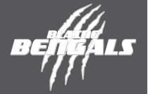 BLAINE PEEWEE HOCKEY PARENTS